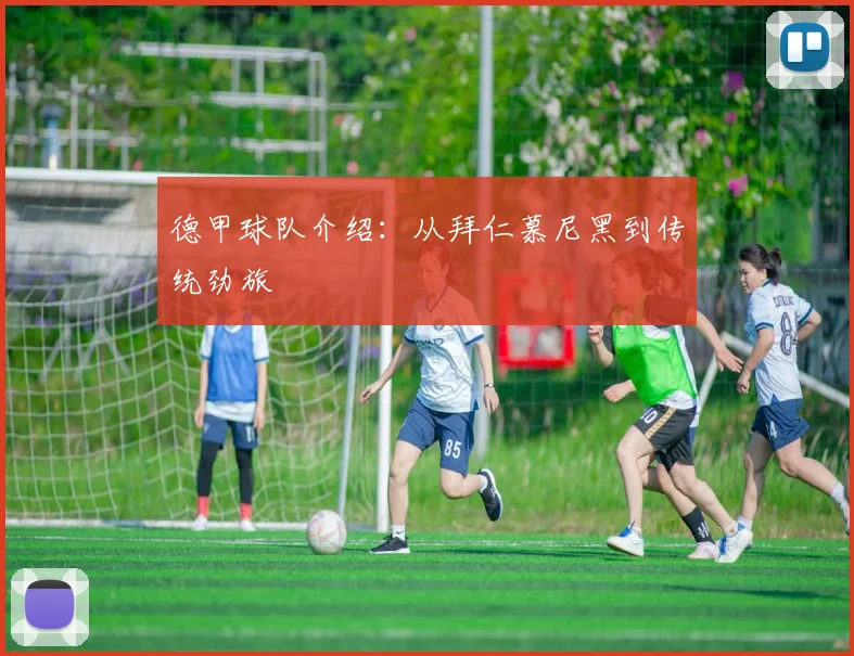 德甲球队介绍：从拜仁慕尼黑到传统劲旅