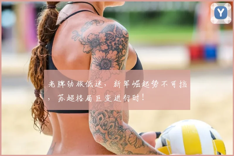老牌劲旅低迷，新军崛起势不可挡，苏超格局巨变进行时！