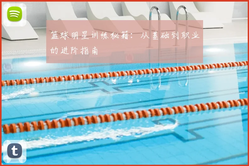 篮球明星训练秘籍:从基础到职业的进阶指南