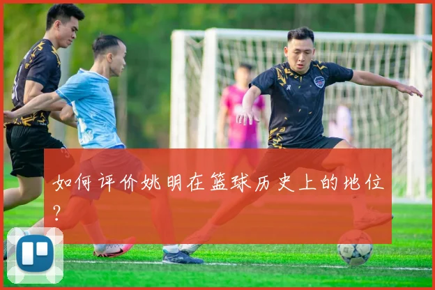 如何评价姚明在篮球历史上的地位？