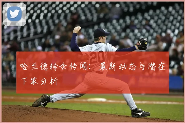 哈兰德转会传闻:最新动态与潜在下家分析