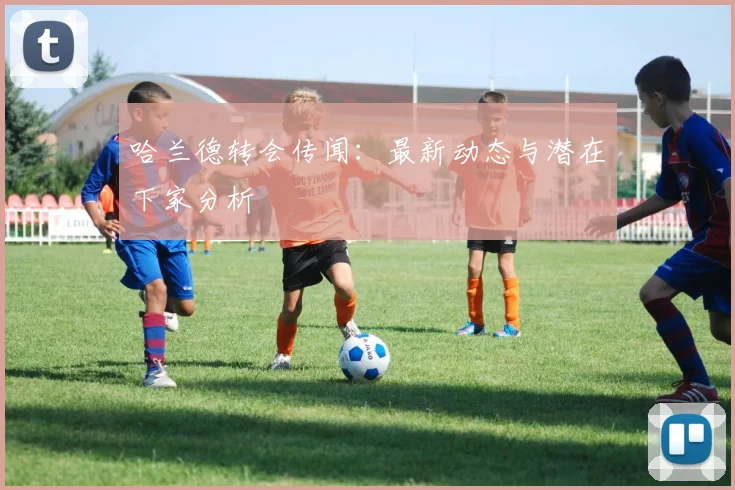 哈兰德转会传闻：最新动态与潜在下家分析
