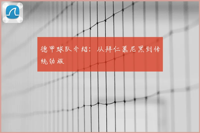 德甲球队介绍：从拜仁慕尼黑到传统劲旅